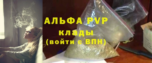 хмурый Корсаков