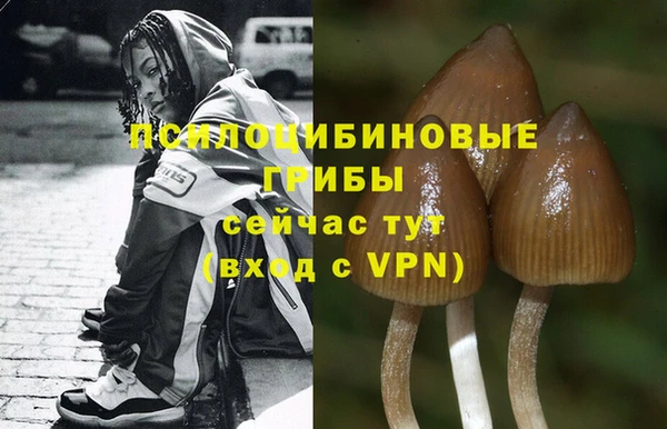 прущая мука Козловка