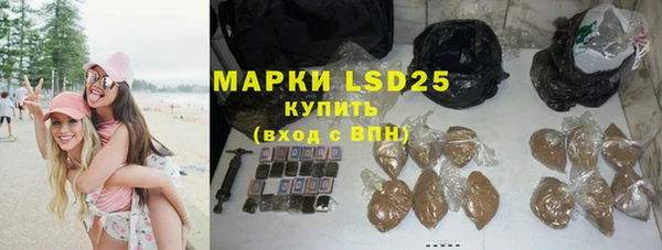 хмурый Корсаков